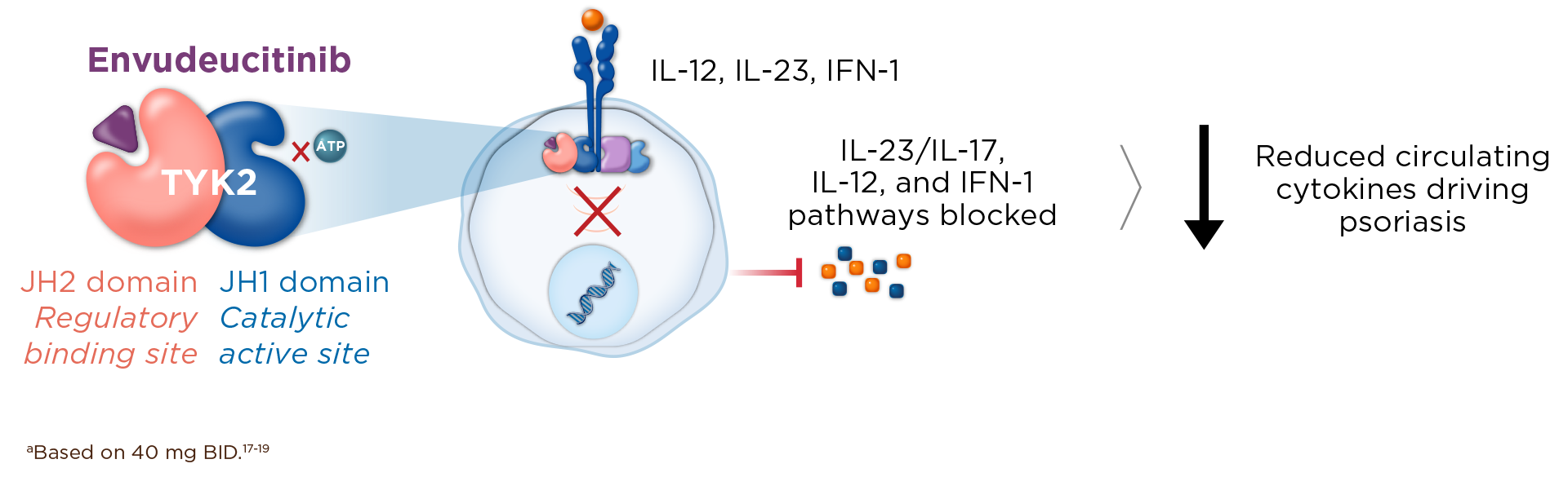envudeucitinib MOA